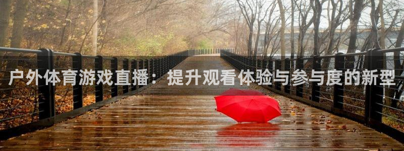 黑白nba直播官网：户外体育游戏直播：提升观看体验与参与度的新型