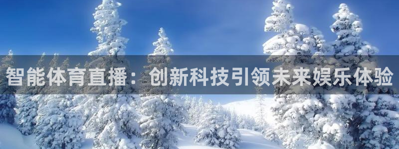 黑白体育nba直播在哪看：智能体育直播：创新科技引领未来娱乐体验